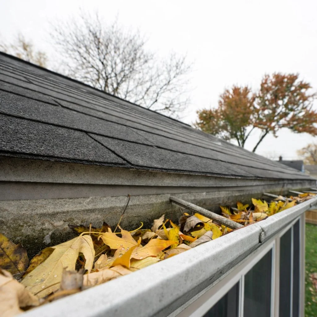 Leaves and debris in a gutter before cleaning